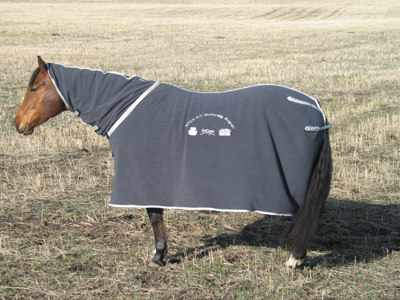 Horse Blanket Embroidery by SS Chaps