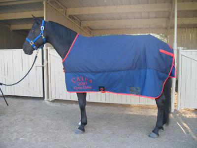 Horse Blanket Embroidery