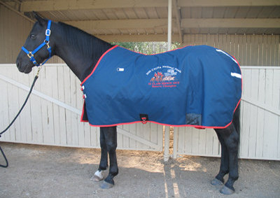 Alberta Horse Blanket Embroidery
