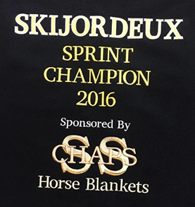 Embroidery for Horse Wear by SS Chaps