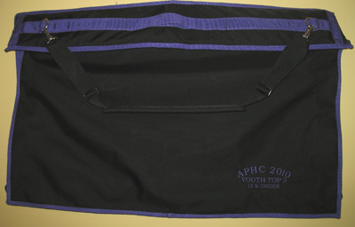 Saddle Bag  Embroidery
